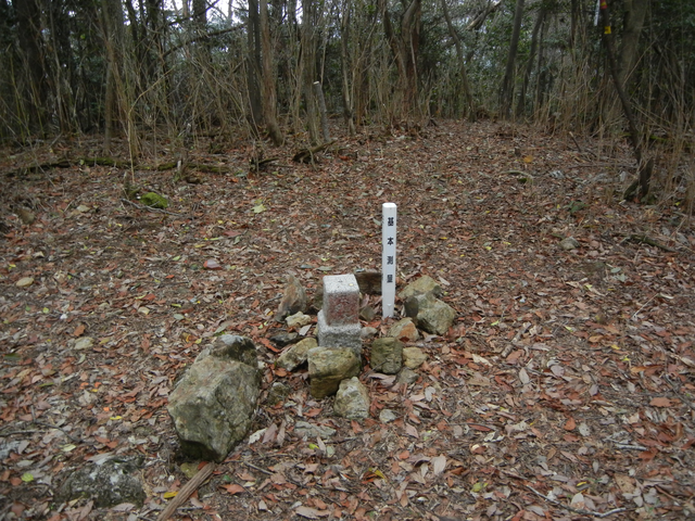 534m峰(北阿武山) 534m峰(北阿武山)