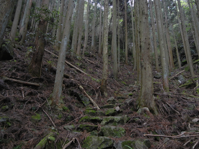 石の階段(534m峰→太田川) 石の階段