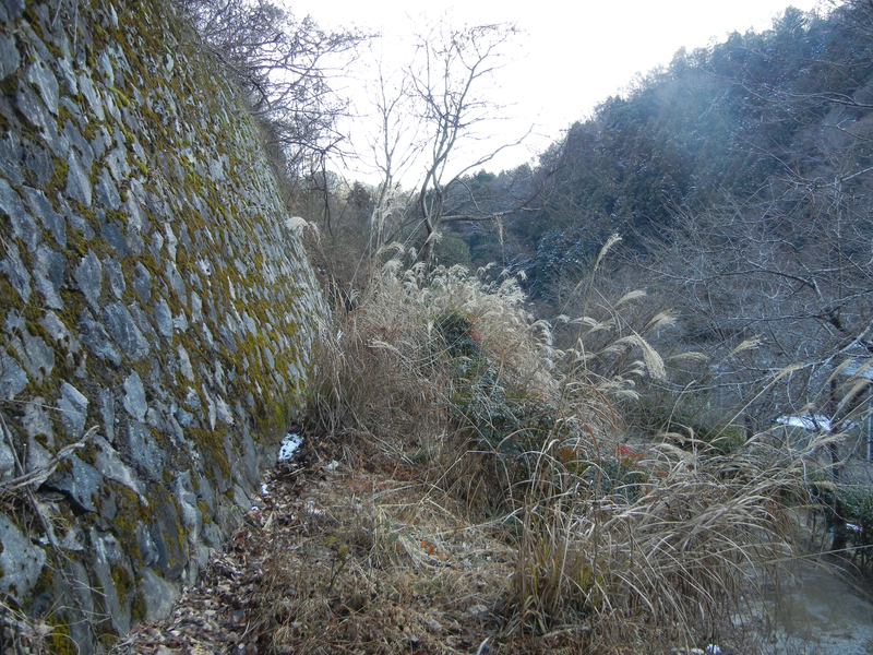 草むした狭い旧々道 草むした狭い旧々道